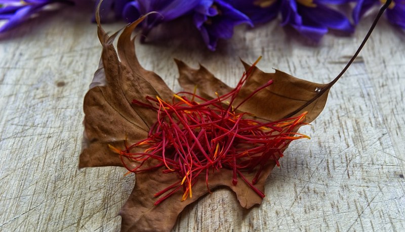 crocus sativus / safran / pistile de safran